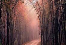 葡萄牙vs丹麦首发阵容会有哪些看点？